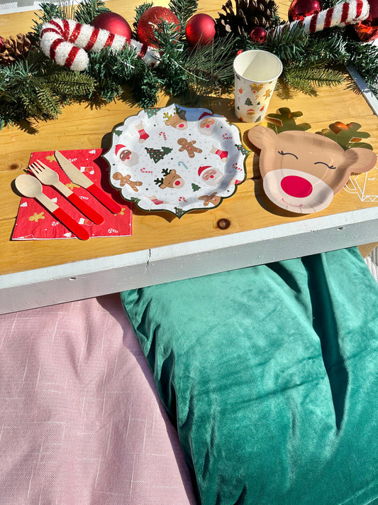 Picnic in a Box, Rudolph, Christmas Party, Holiday Party